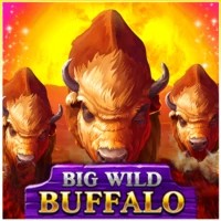game logo by Belatra Games on happy-spin.com